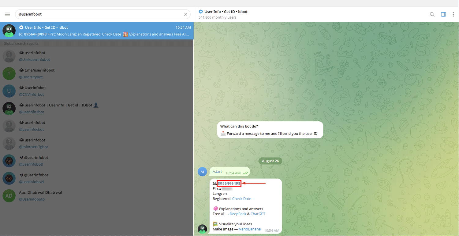 Follow the prompts to get Chat ID