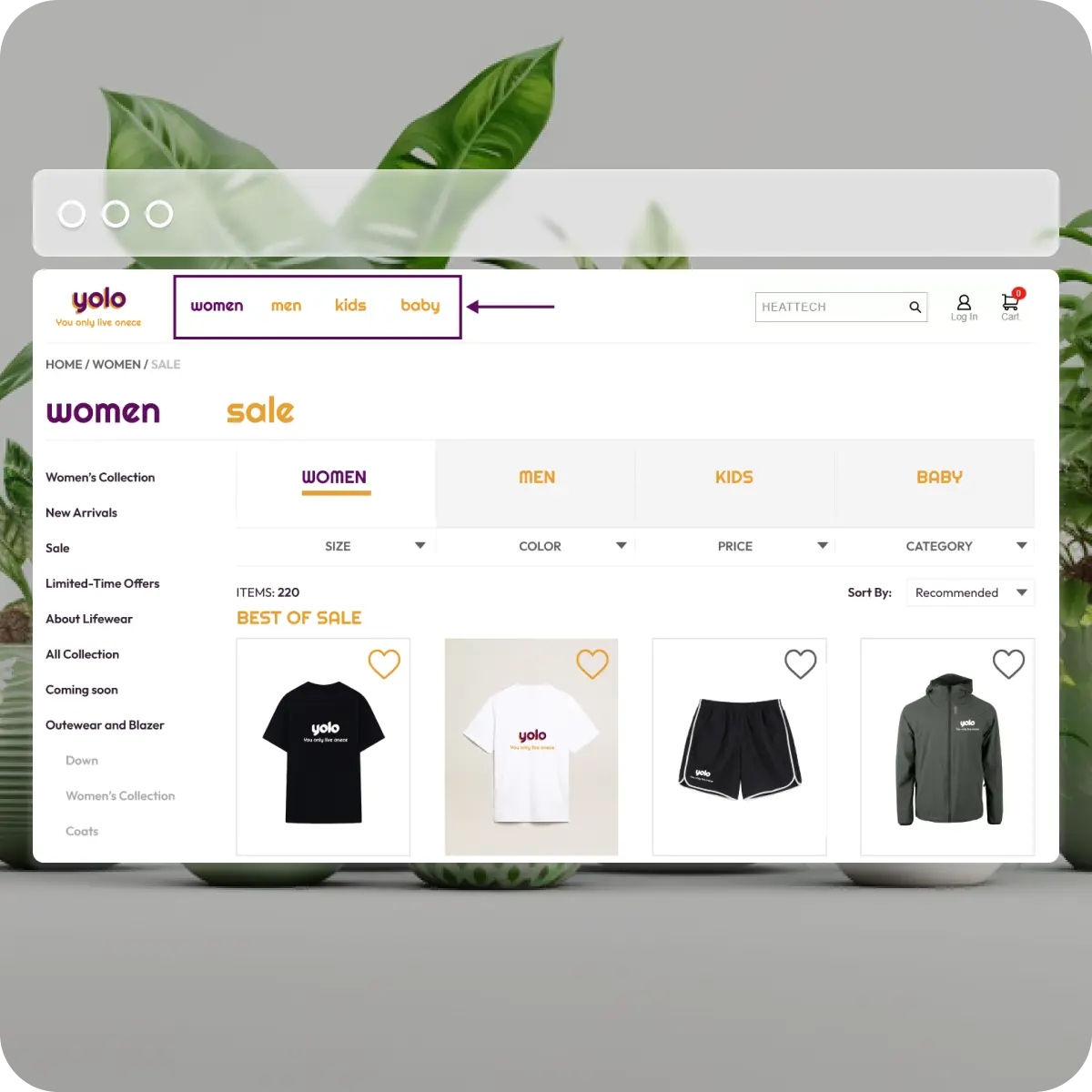 Set up collections for your Shopify store